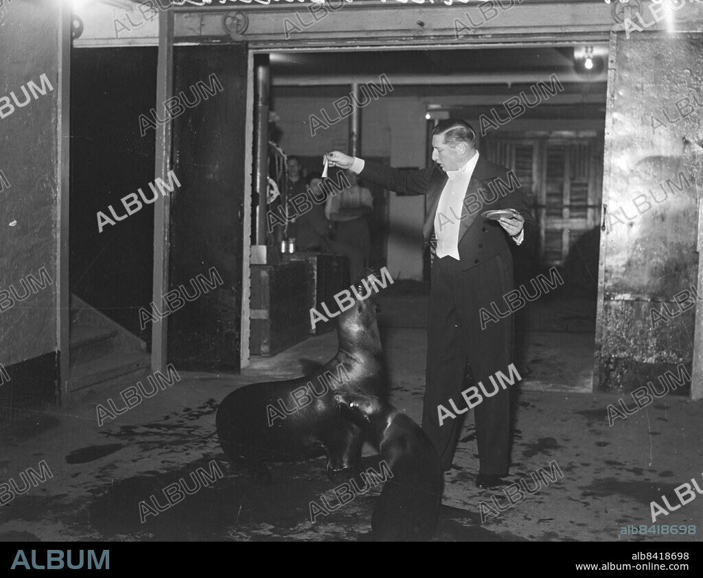 GÖTEBORG 1935-10-30.. Cirkus Schumann i stan - vackra sjölejon med sin djurtämjare. *** Local Caption *** GT Låda oktober 1935-01 Foto: Kamerareportage / TT / Kod: 2524.