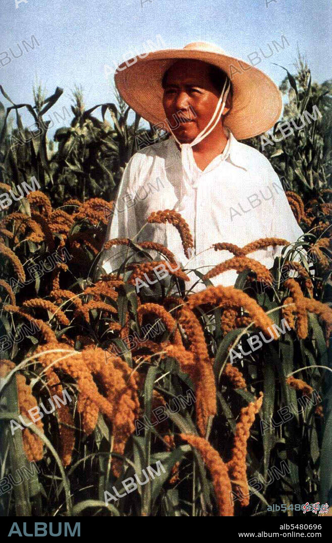 Under the Great Leap Forward, Mao and other party leaders ordered the implementation of a variety of unproven and unscientific new agricultural techniques by the new communes. Combined with the diversion of labor to steel production and infrastructure projects and the reduced personal incentives under a commune system, this led to an approximately 15% drop in grain production in 1959 followed by a further 10% reduction in 1960. The net result, which was compounded in some areas by drought and in others by floods, was that the rural peasants were not left enough to eat and many millions starved to death in the largest famine in human history. This famine was a direct cause of the death of some 30 million Chinese peasants between 1959 and 1962.