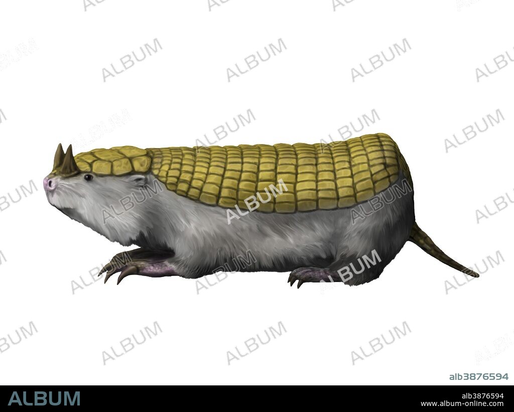 Peltephilus is a xenarthran mammal from the Miocene epoch of Argentina.