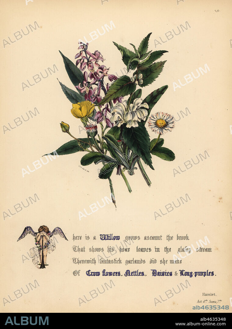 Willow, Crow flowers, Nettles, Daisies, and Long-purples (Hamlet). Handcoioured botanical illustration drawn and lithographed by Jane Elizabeth Giraud from The Flowers of Shakespeare, Day and Haghe, London, 1845.