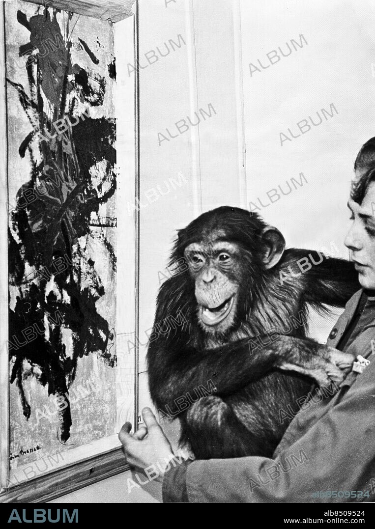FILE CA 1964-02-11. Chimpanzee Peter at Boras Zoo paints pictures on commission by journalist Åke Axelsson and exhibits the paintings at Gallerie Christinae in Gothenburg with the signature Pierre Brassau.. *****. Schimpansen Peter på Borås djurpark målar tavlor på beställning av journalisten Åke Axelsson och ställer ut tavlorna på Gallerie Christinae i Göteborg under namnet Pierre Brassau.. Foto: Expressen / TT / Kod: 192.