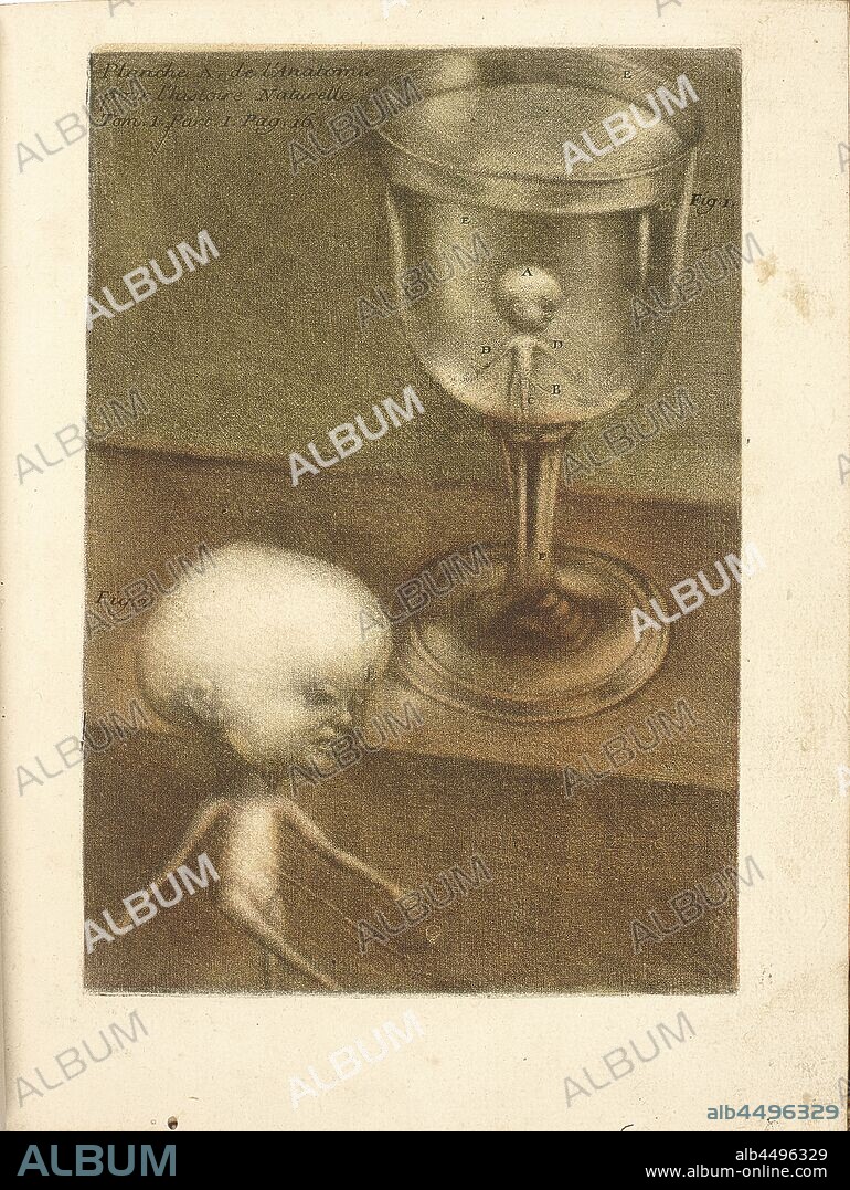 JACQUES FABIEN GAUTIER D'AGOTY. Observations sur l'histoire naturelle, sur la physique et sur la peinture.