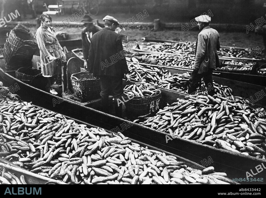 TYSKLAND LÜBBENAU 1920-tal. Orig. bildtext... LÜBBENAU, DAS GURKEN-ELDORADO. Im Spreewald, besonders in der Gegend um Lübbenau, hat man jetzt mit der Gurkenernte begonnen, die zu (...) auf den Markt gebracht werden. Mehr als ein Drittel der Bevölkerung ernährt sich hier hauptsächlich von dem Anbau, Einlegen und Versand der Gurken, die überall Berühmtheit genlessen. Die Spreewaldbewohner bringen in grossen Kähnen ihre Gurken zum Verkauf. Foto: Atlantic Photo-Gesellschaft / AB Text & Bilder / SVT / Kod: 5600 Mapp: Gurkor B: 56 Bildserier Fotoreportage Transporter med båt sites: TYSKLAND;LÜBBENAU PhotoDate:192?-??-??.