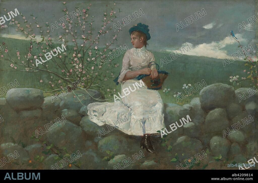 Peach Blossoms. Winslow Homer; American, 1836-1910. Date: 1878. Dimensions: 33.7 × 49 cm (13 1/4 × 19 5/8 in.). Oil on canvas. Origin: United States.