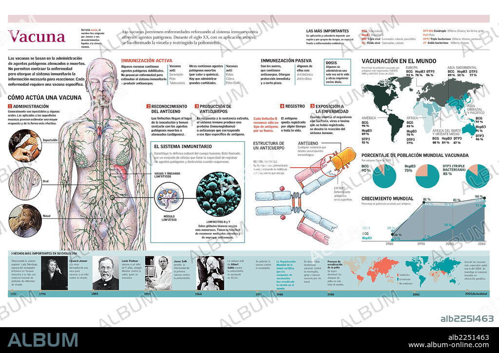 VACUNA. Infografía de la actuación de una vacuna sobre el organismo humano y datos de vacunación a nivel mundial.