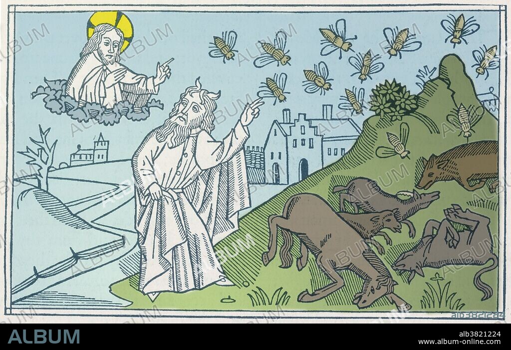 "Behold the hand of the lord is upon thy cattle." Woodcut depicting God sending disease to kill the livestock of Egypt, from the Ninth German Bible (Cologne Bible), 1483. The Plagues of Egypt were ten calamities that, according to the biblical Book of Exodus, Israel's God, Yahweh, inflicted upon Egypt to persuade Pharaoh to release the Israelites from slavery. The fifth plague of Egypt was an epidemic disease which exterminated the Egyptian livestock; that is, horses, donkeys, camels, cattle, sheep and goats.