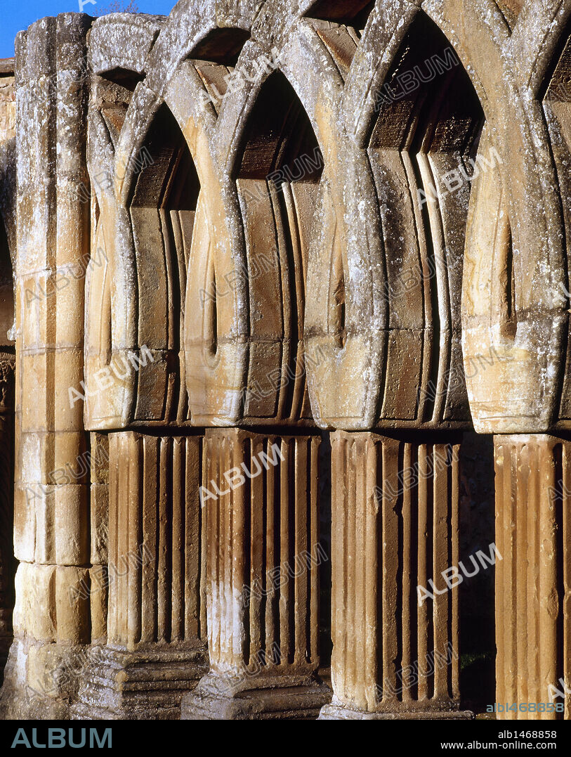 ARTE ROMANICO. ESPAÑA. SAN JUAN DE DUERO. Detalle de los ARCOS APUNTADOS Y ENTRELAZADOS del claustro del s. XIII, perteneciente al antiguo monasterio de la orden de los Templarios. Posee elementos románicos, góticos, mudéjares e influencias orientales. SORIA. Castilla-León.