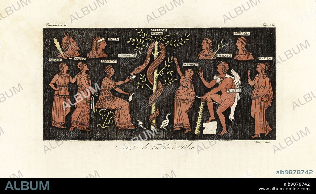 Heracles on his 11th labor, taking golden apples from the Garden of the Hesperides guarded by the serpent Ladon. From a vase in Aubin Louis Millins Peintures de Vases Antiques. (Mistakenly labeled Marriage of Peleus and Thetis.) Nozze di Tetide e Peleo. Handcoloured copperplate engraving by Giovanni Antonio Sasso from Giulio Ferrarios Costumes Ancient and Modern of the Peoples of the World, Il Costume Antico e Moderno, Florence, 1842.