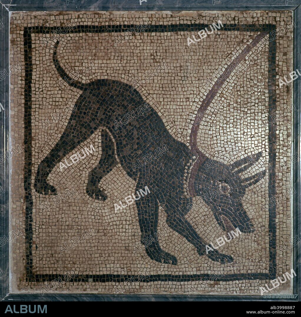 Roman mosaic of a dog, bearing the legend 'Cave Canem' underneath, from Pompeii, from Naples National Museum's collection, 1st century.
