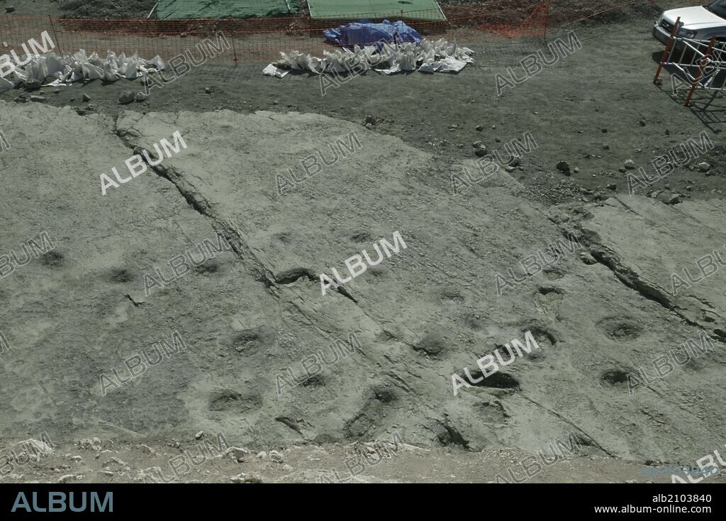 YACIMIENTO ARQUEOLOGICO EN CASAMONTERO (M-50). HUELLAS DE MASTODONTE Y FOSILES.