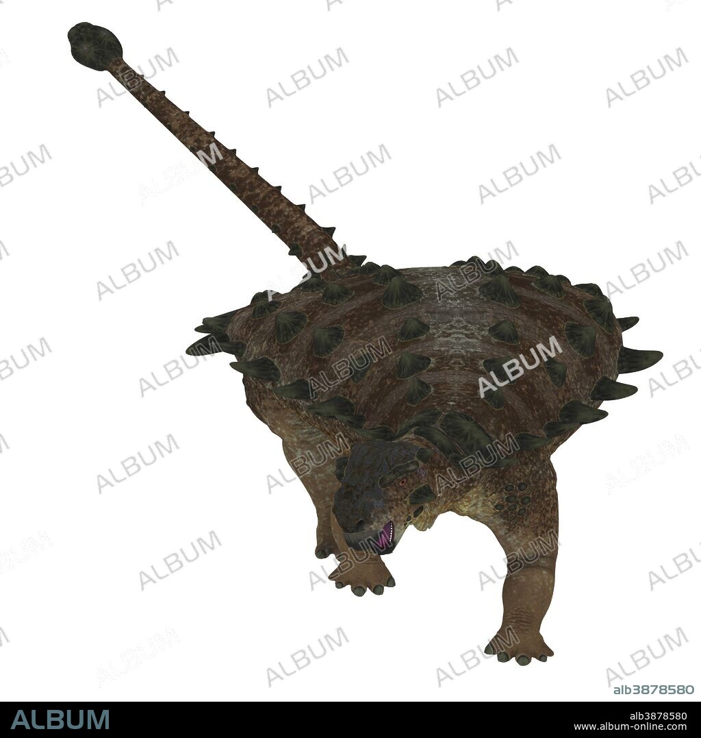 Front view of a Pinacosaurus dinosaur. Pinacosaurus was a herbivorous ankylosaur that lived during the Cretaceous Period of Mongolia and China.