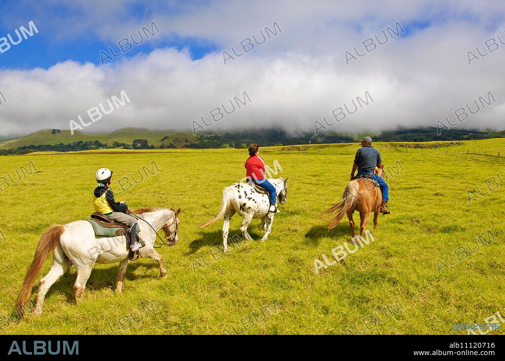 Horseback riding at Parker Ranch, The Big Island, Hawaii, United States of America, North America.