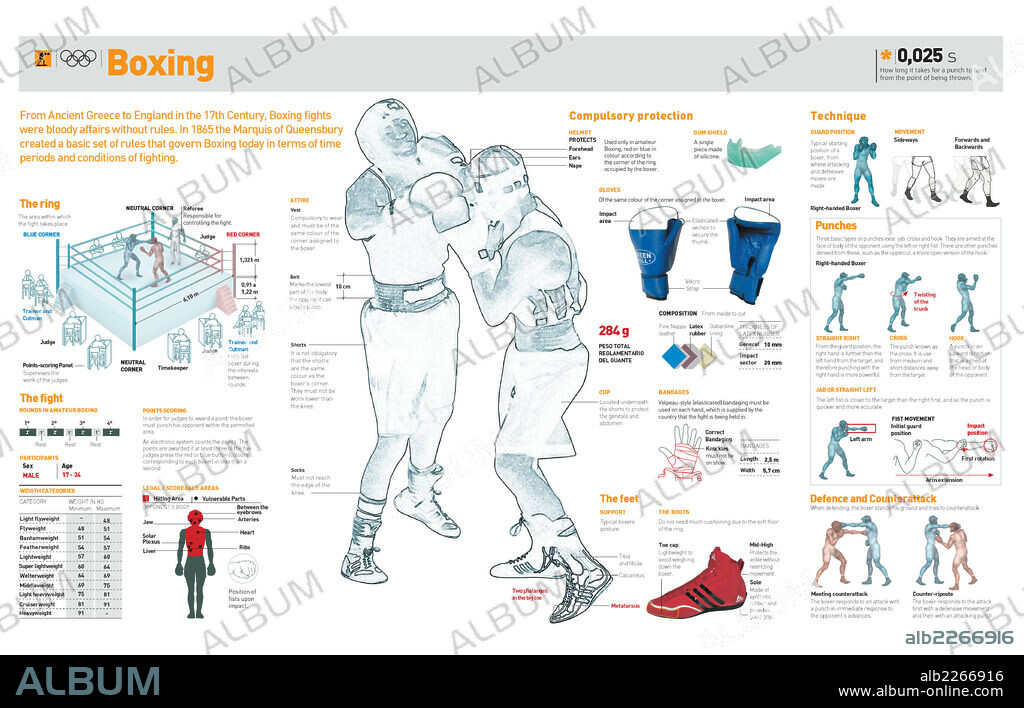 BOXEO. Infografía sobre la historia del boxeo, el ring, las técnicas del combate y sus reglas básicas.