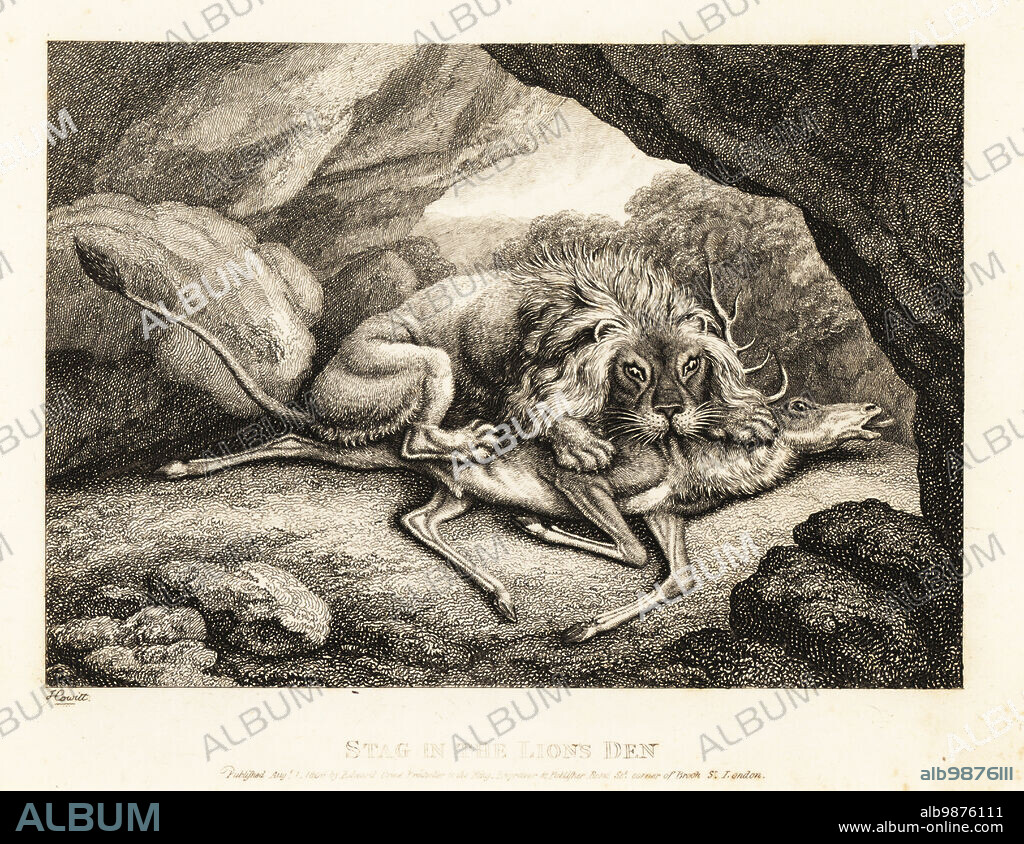 A lion eating the carcass of a stag in a cave. A cunning fox had flatttered it into the lion's den. Stag in the lion's den. The lion, fox and stag. Illustration of a fable by Greek author Aesop. Copperplate etching drawn and engraved from life by Samuel Howitt from his own A New Work of Animals, Principally Designed from the Fables of Aesop, Gay and Phaedrus, Edward Orme, London, 1811.