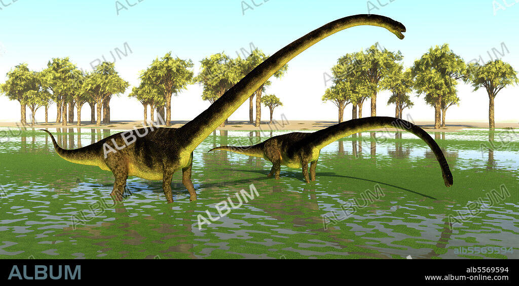Two Omeisaurus dinosaurs eating water plants for the mineral content during the Jurassic Period of China.