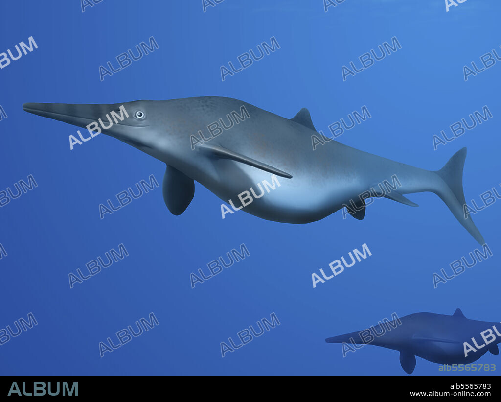 Californosaurus perrini, Ichthyosaur, Late Triassic of California.