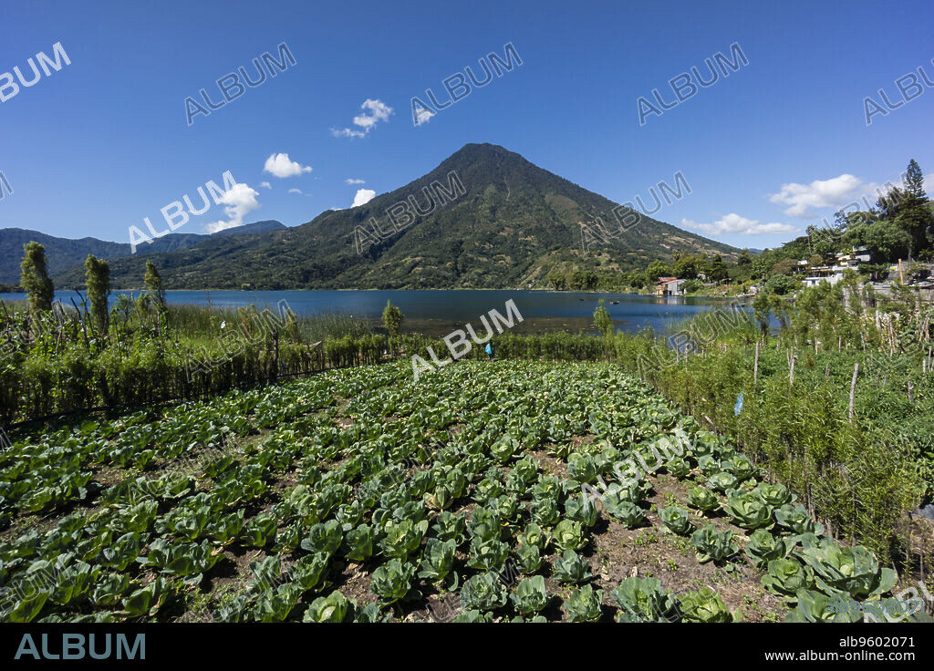 volcán San Pedro, suroeste de la caldera del lago de Atitlán , Santiago Atitlán. Tiene una altitud de 3.020,Guatemala, Central America.
