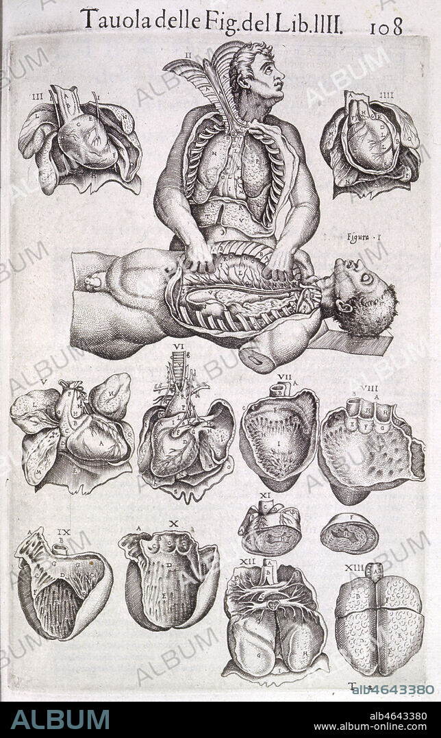 Planche anatomique d'un ecorche et du coeur tiree de Anatomia del corpo humano par Juan VALVERDE DE AMUSCO (c.1525-c.1588) edite par Antonio SALAMANCA et Ant. LAFRERY en 1560. Credit: Collection KHARBINE-TAPABOR.