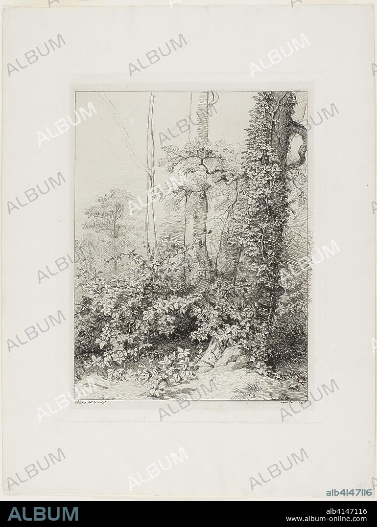 EUGèNE BLéRY. Bramble and Ivy. Eugène Blery; French, 1805-1887. Date: 1845. Dimensions: 257 × 196 mm (plate); 361 × 273 mm (sheet). Etching, with additions in dark gray pen and ink, on ivory wove chine collé on ivory wove paper. Origin: France.