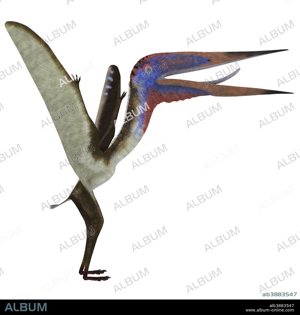 Zhejiangopterus was a carnivorous pterosaur dinosaur that lived in China during the Cretaceous Period.