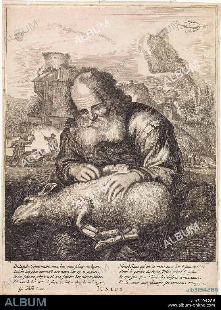June: A shepherd shears a sheep, print maker: Anonymous, Jonas Suyderhoef, Joachim von Sandrart, 1670 - 1726.