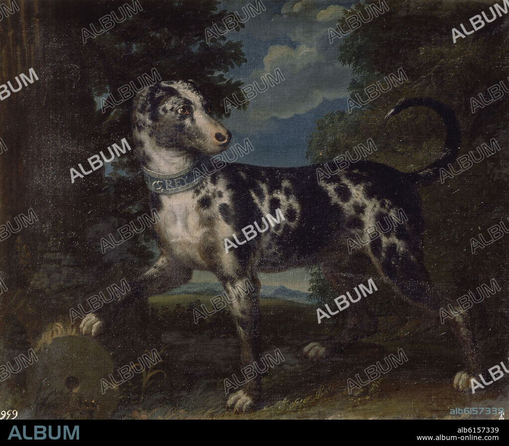 DOMENICO MARÍA SANI. PERRO PERDIGUERO LLAMADO PALLAZO - SIGLO XVIII - BARROCO ITALIANO.