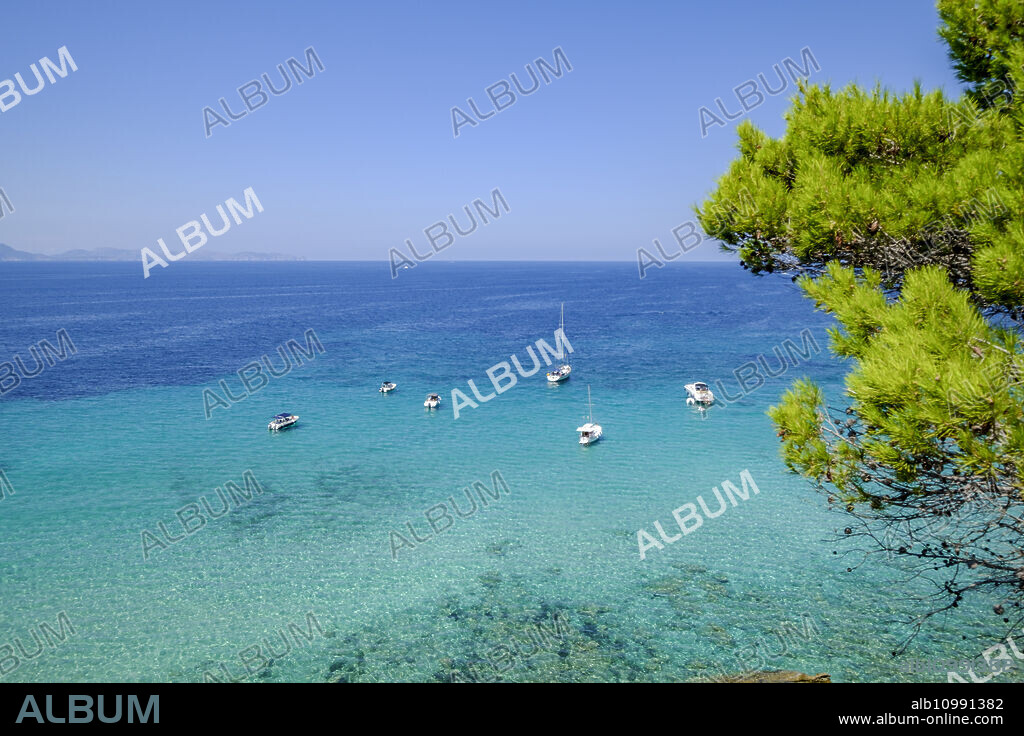 Arenalet de na Clara beach, Artà, Llevant peninsula, Mallorca, Balearic Islands, Spain.