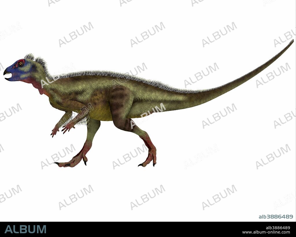 Hypsilophodon is an ornithopod dinosaur from the Early Cretaceous period of Europe.