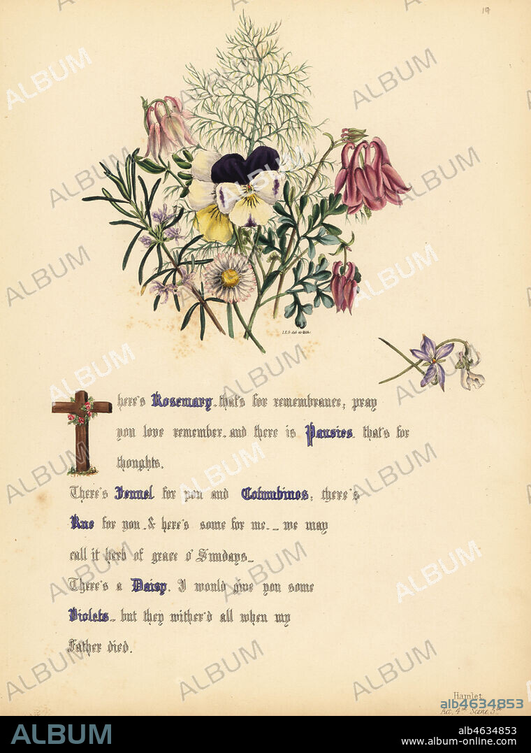 Rosemary, Pansies, Fennel, Columbines, Rue, Daisy and Violets (Hamlet). Handcoioured botanical illustration drawn and lithographed by Jane Elizabeth Giraud from The Flowers of Shakespeare, Day and Haghe, London, 1845.