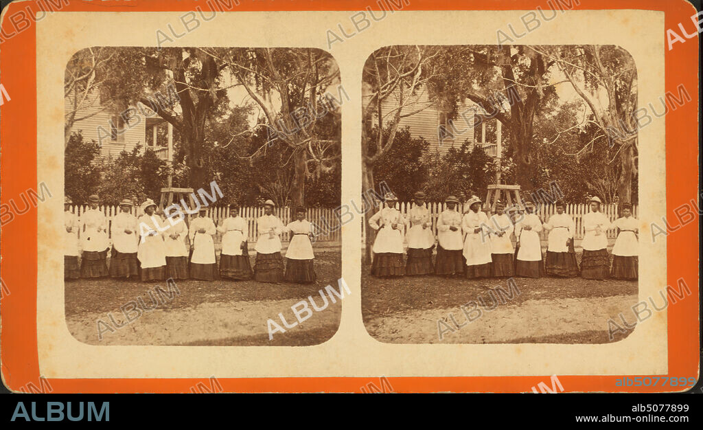 These are the sisters., still image, Stereographs, 1850 - 1930, Ryan, D. J. (1837-).