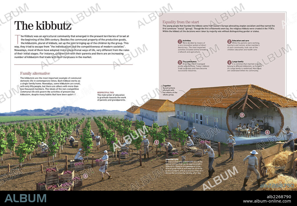 The kibbutz. Infographic about the kibbutz (kibbutzim in plural), agricultural communities that lived like a large family.