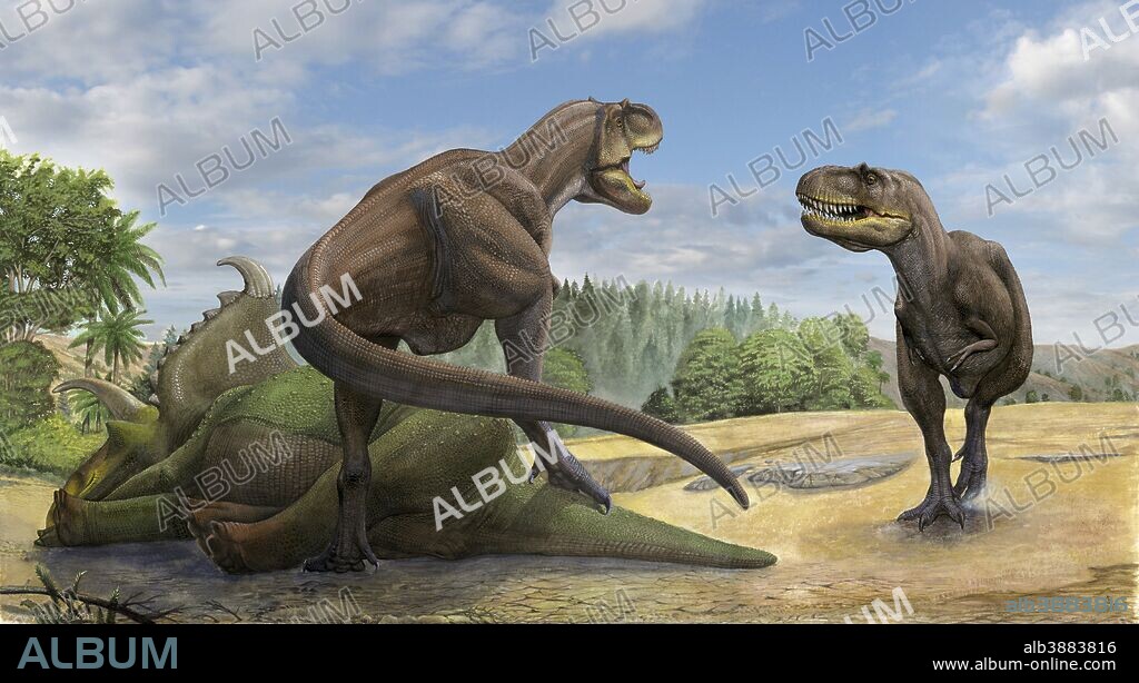 A Teratophoneus dinosaur defends its prey Kosmoceratops from another relative.