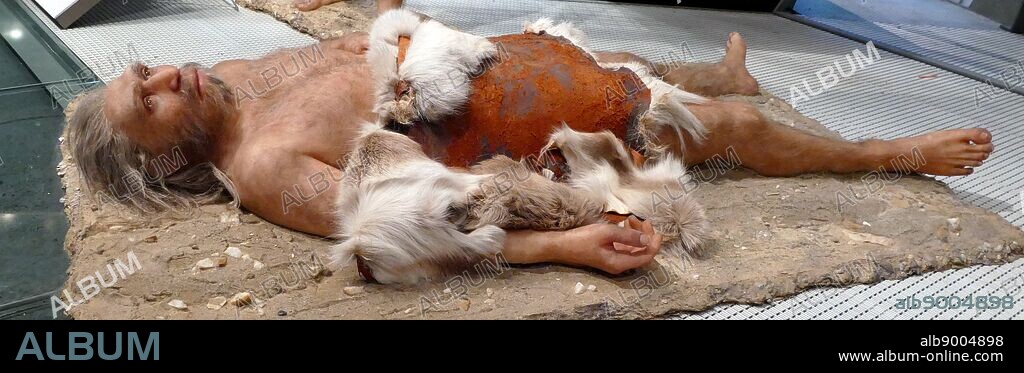 injured HOMO NEANDERTHALENSIS, The Neanderthals lived in Europe and the Near East between 200,000 and 30,000 years ago. They were a species similar to ours, though we are not directly related to them. They grew to almost 170 cm tall and were extremely strong. Their cranial capacity was some 7,500 cm3, more than ours, which is 7,350 cm3, though this does not mean they were more intelligent than us. Their braincases were long and flat, and their noses and mouths projected forwards. Sapiens and Neanderthals occupied the same territory until the Neanderthals eventually became extinct. Sculpture by Elisabeth Daynes.