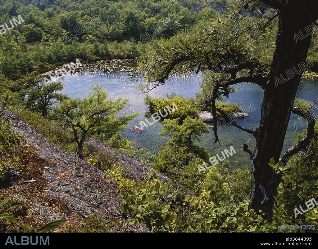 Terrace Pond, a glacial kettle lake in Wawayanda State Park, New Jersey.