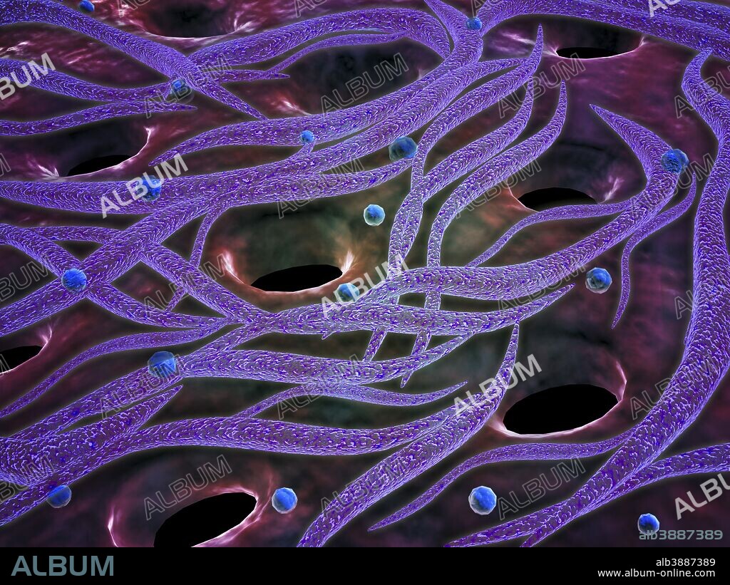 Conceptual image of Lactobacillus acidophilus. Lactobacillus is a gram-positive bacteria that occurs naturally in the human and animal gastrointestinal tract and mouth.
