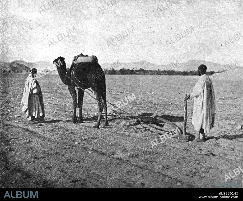 ''Un charrue arabe; Afrique du nord', 1914. From "Grande Geographie Bong Illustree", 1914.
