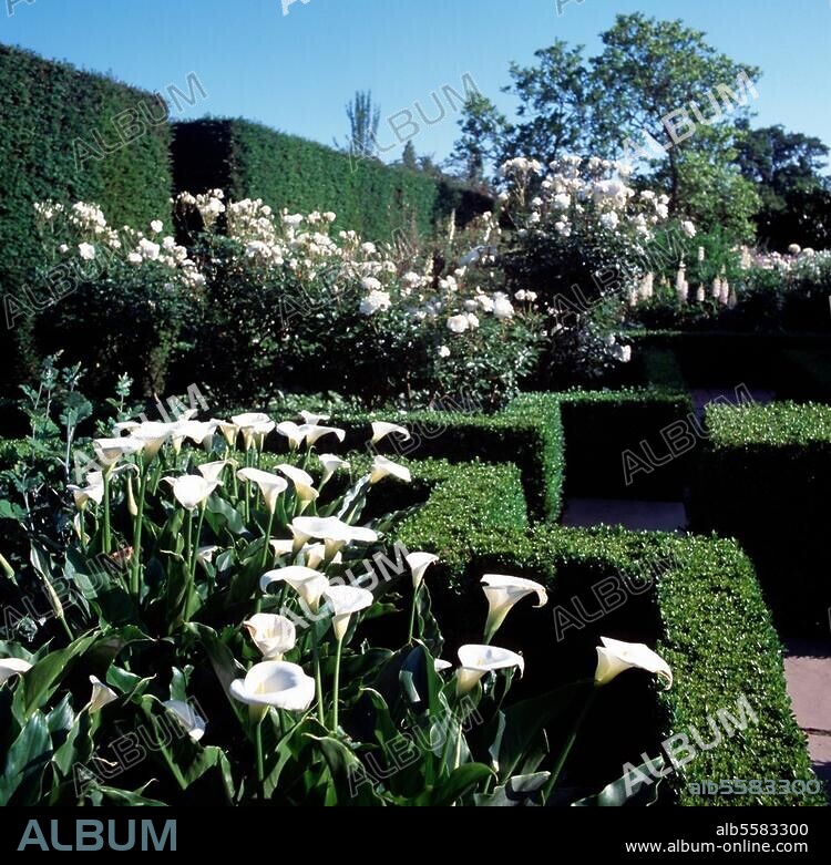 Sissinghurst Place / Weißer Garten © Florian Monheim Format / Filmsize: 6 × 6 cm.