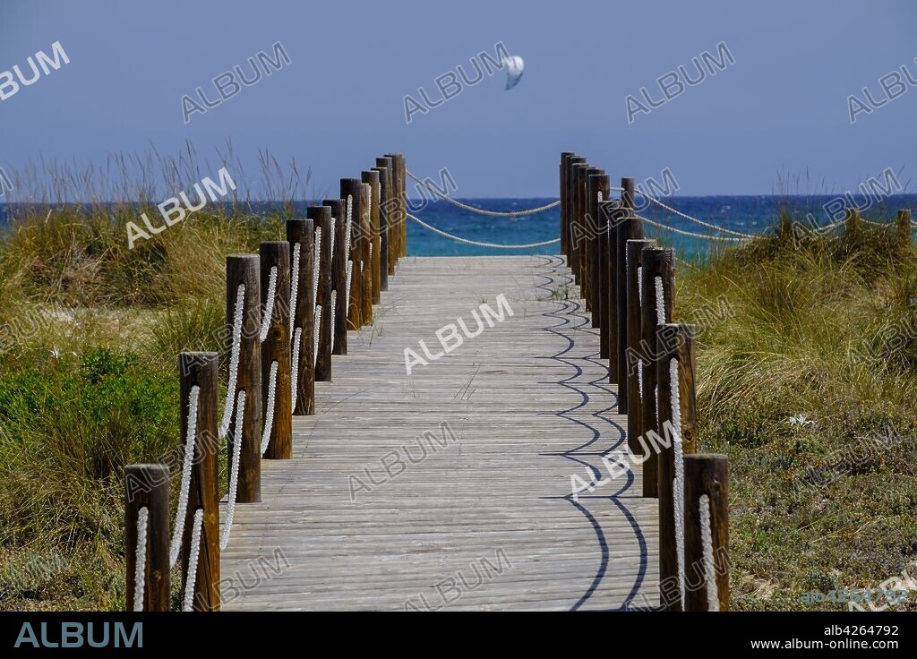 pasarelas de madera sobre las dunas, Son Serra de Marina ,Mallorca, balearic islands, Spain.