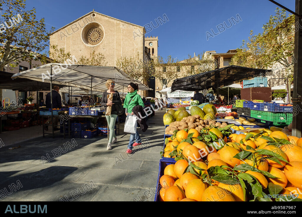 plaza del mercado, Pollensa, Mallorca, balearic islands, Spain.
