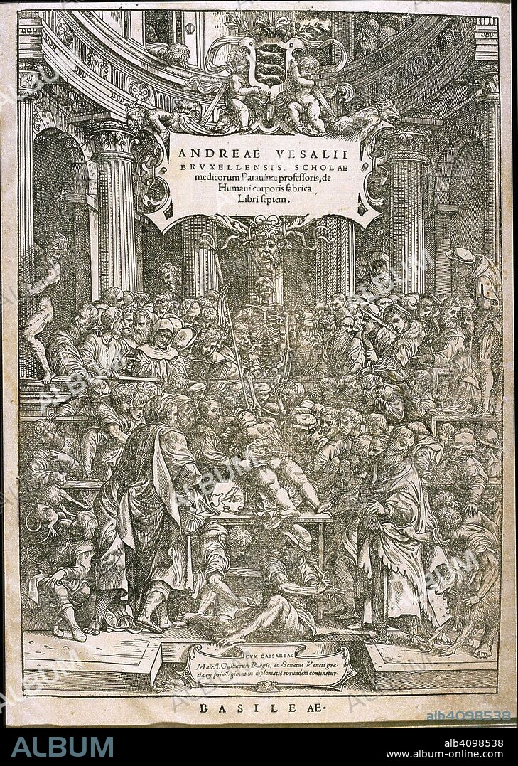 CALCAR, JAN STEPHAN, VAN. Title page from De humani corporis fabrica by Andreas Vesalius.