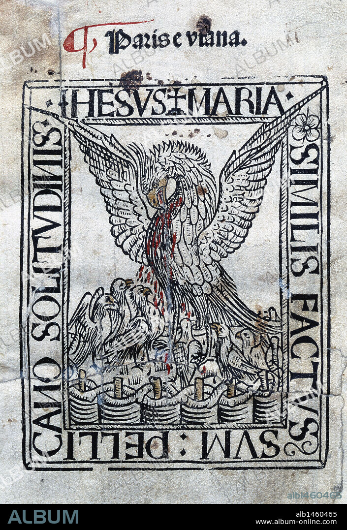 LITERATURA CATALANA. Siglo XV. "PARIS E VIANA". Incunable con texto en catalán. Este texto parece traducido del francés o del italiano, aunque es de suponer que la novela fué originalmente escrita en catalán. Edición impresa en Barcelona en 1494 por Diego Gumiel. Biblioteca de Cataluña. Barcelona. Cataluña.