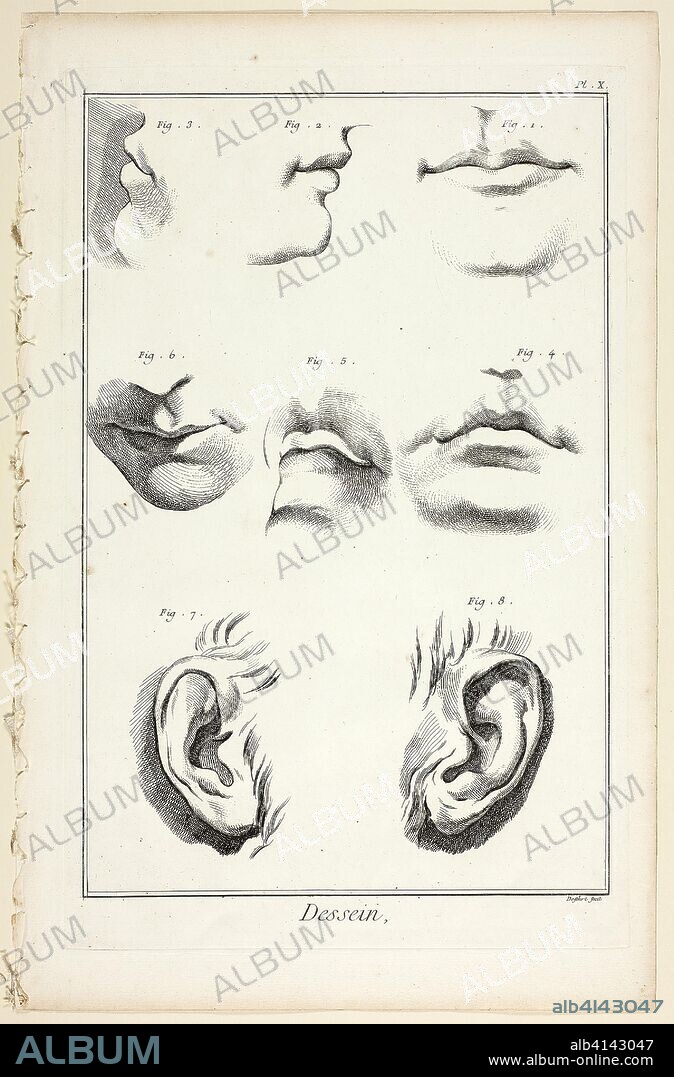 Design: Facial Anatomy from Encyclopédie. A. J. Defehrt (French, active 18th century); published by André le Breton (French, 1708-1779), Michel-Antoine David (French, c. 1707-1769), Laurent Durand (French, 1712-1763), and Antoine-Claude Briasson (French, 1700-1775). Date: 1762-1777. Dimensions: 400 × 260 mm. Etching, with engraving, on cream laid paper. Origin: France.