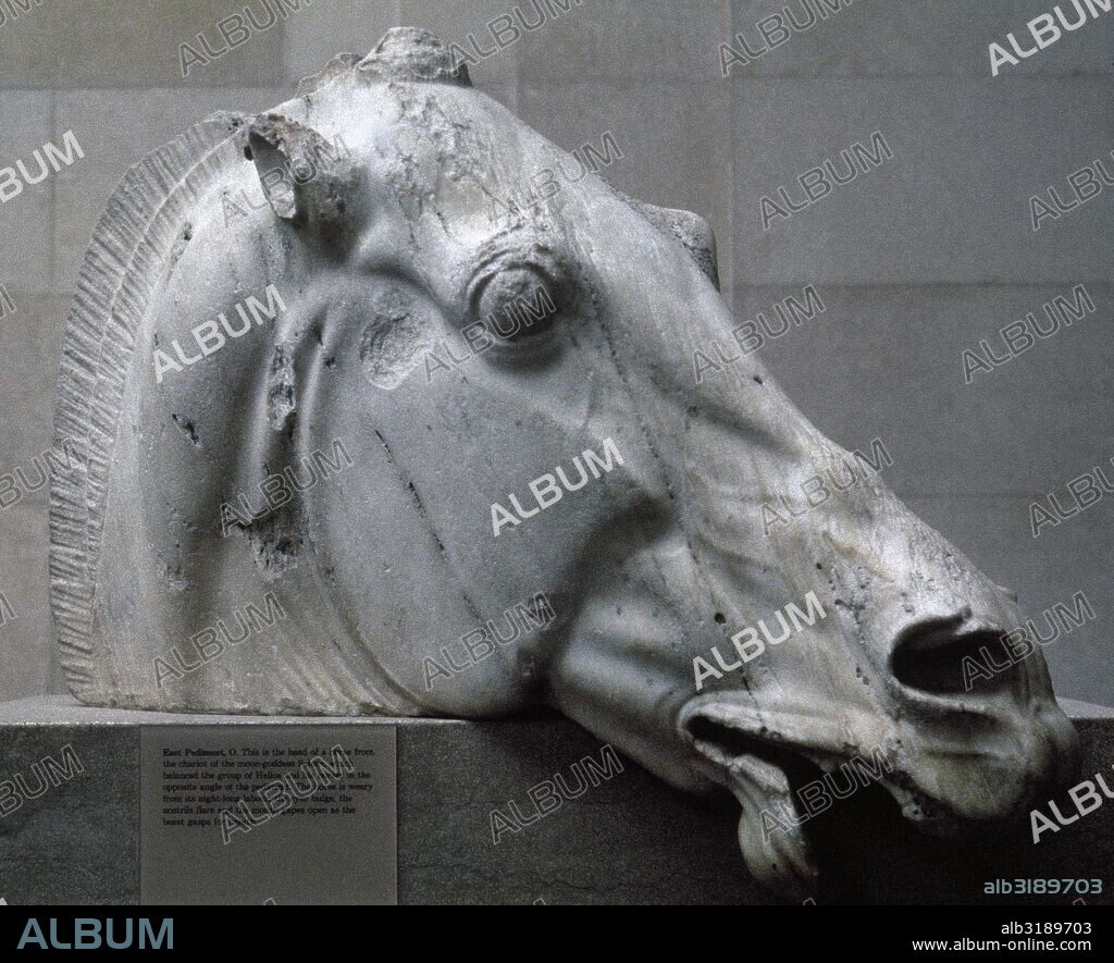 Head of a horse from the chariot of Selene. East pediment. Marble. C. 447-438 BC. Supervision of Phidias and his assistants. Parthenon of Acropolis of Athens, Greece. British Museum. London, United Kingdom.