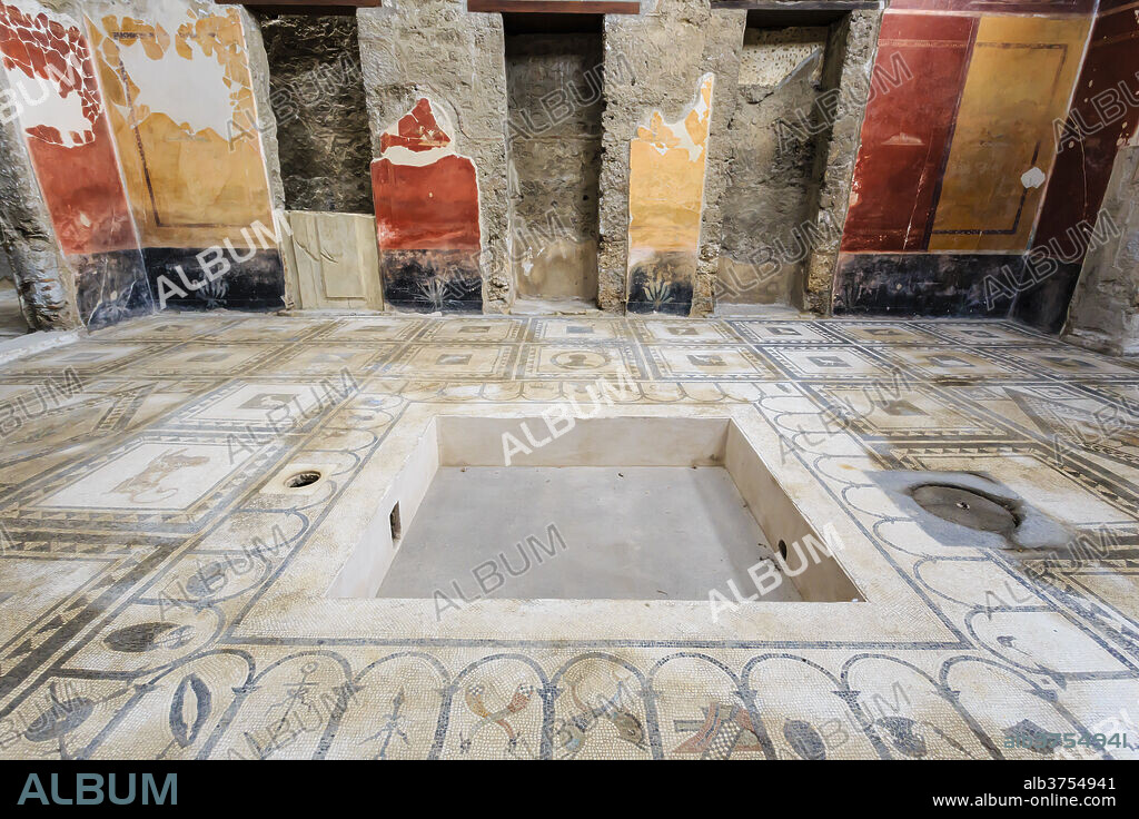 Mosaics, Atrium, House of the Paquius Proculus (House of Cuspius Pansa), Pompeii, UNESCO World Heritage Site, Campania, Italy, Europe.