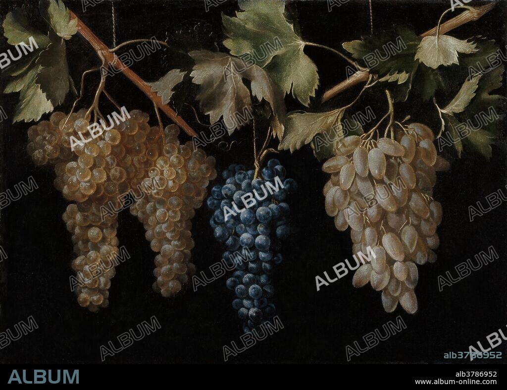 JUAN FERNÁNDEZ. Juan Fernández "el Labrador" / 'Cuatro racimos de uvas colgando'. Hacia 1636. Óleo sobre lienzo, 45 x 61 cm.
