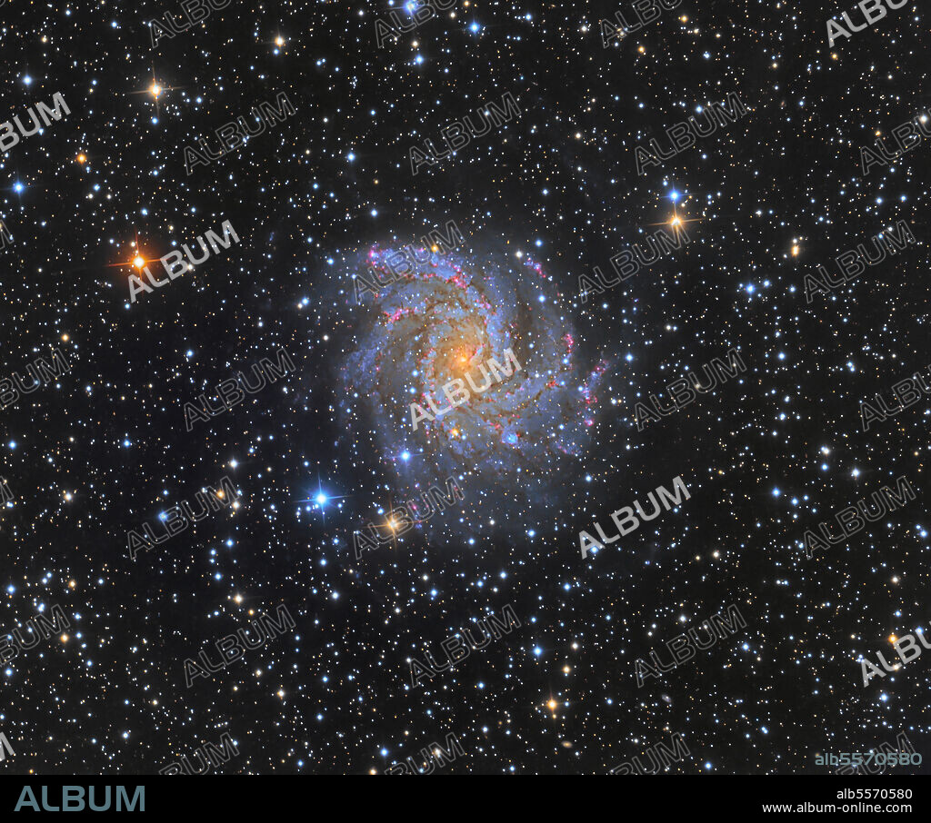 NGC 6946, also known as the Fireworks Galaxy, is an intermediate spiral galaxy in the constellation Cepheus.