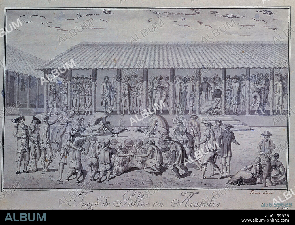 TOMAS SURIA (1761-1844). JUEGO DE GALLOS EN ACAPULCO - PELEA DE GALLOS EN ACAPULCO - SIGLO XVIII - EXPEDICION MALASPINA.