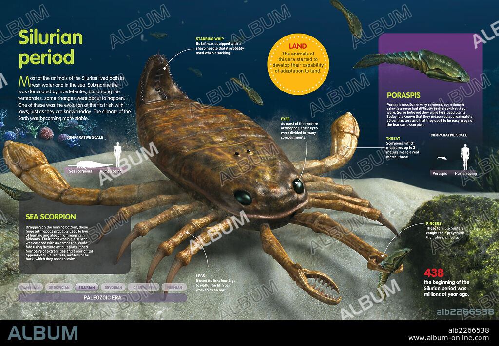 Período Siluriano. Infografía de los animales que habitaron el fondo oceánico en el período Silúrico (hace 438 millones de años).