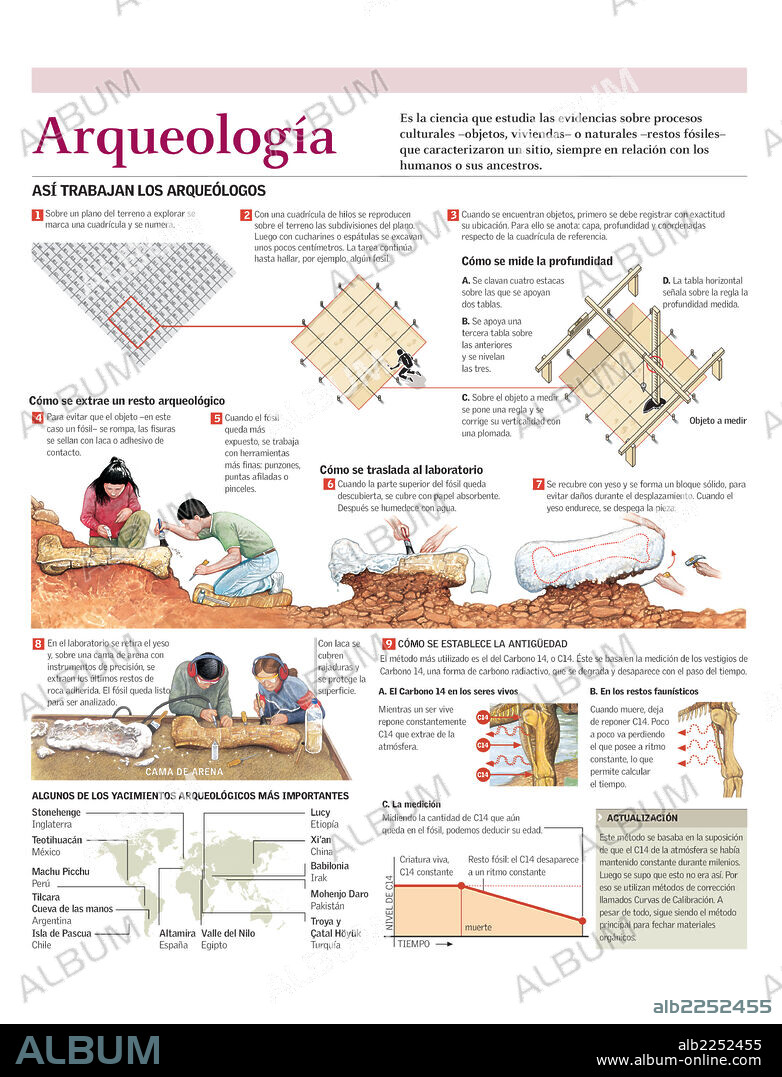Archeology. Infographic on the work involved on an archaeological site and the excavation and dating of a fossil.