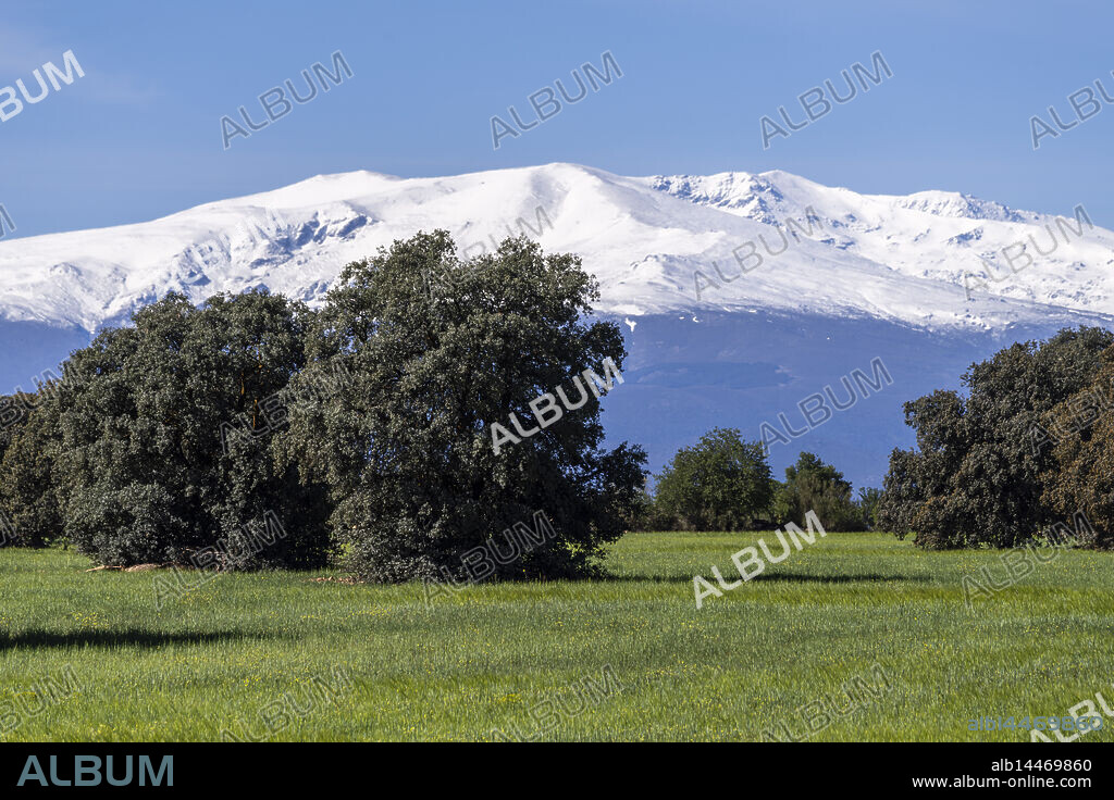 Sierra Nevada mountains, Granada Geopark, Granada province, Andalusia, Spain.